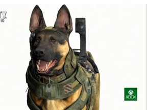 CallofDutyDogFare