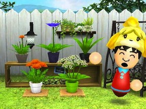 In the new 3DS StreetPass game Flower Town players grow various plant breeds, display them, track their progress in a journal, and meet with other Mii gardeners.