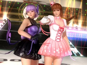  Dead or Alive 5 Ultimate - PS3 : Everything Else
