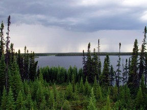 International Boreal Conservation Campaign, Matt Medler/AP/The Canadian Press