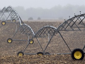 AP Photo/Nati Harnik