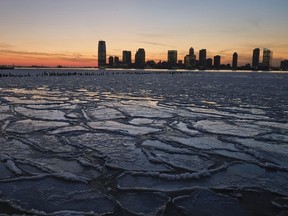 Afton Almaraz/Getty Images