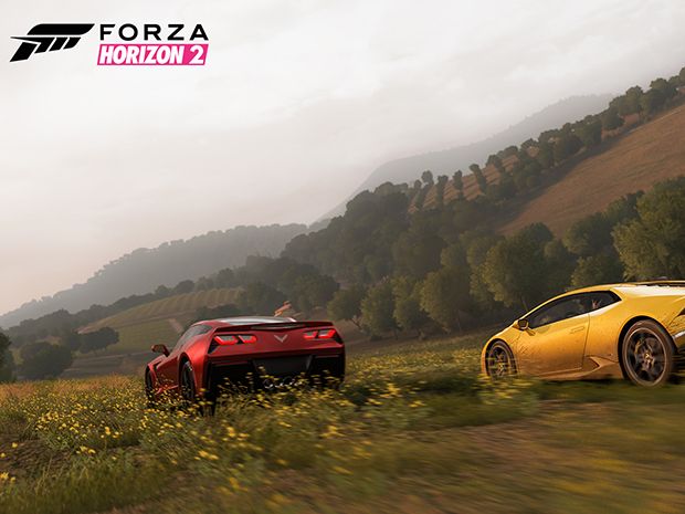 Forza Horizon 2 review: Open-world racing refined | Financial Post