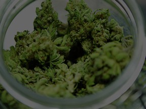 medical marijuana, California