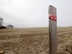 AP Photo/Nati Harnik