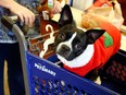 Richard W. Rodriguez/Invision for PetSmart/AP Images