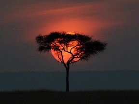 Tony Karumba/AFP/Getty Images