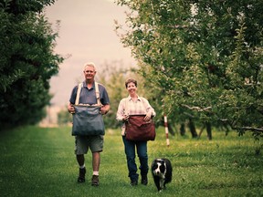 Broken Ladder Cider Company