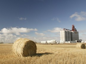 Photo courtesy of Saskatchewan Wheat Pool