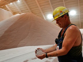 Analysts agree that there would be few regulatory hurdles, at least on the domestic front, in a Potash Corp. and Agrium merger as both companies are Canadian.
