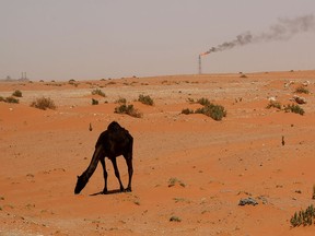 MARWAN NAAMANI/AFP/Getty Images