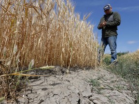 Rich Pedroncelli/AP Photo