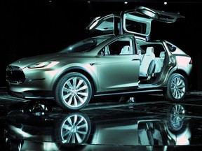 Jordan Strauss/Getty Images for Tesla