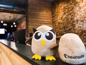 Hootsuite's owl mascots are shown in the company's cabin-themed office in Vancouver.