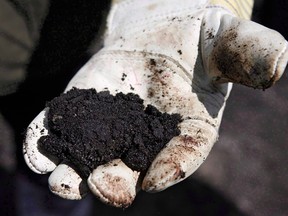 An oil worker holds raw oilsands near Fort McMurray, Alta.