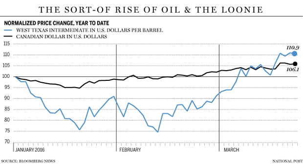 FP0322_Loonie_oil-GS