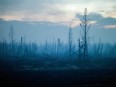 A charred swath of boreal forest, along Highway 63 near Fort McMurray.