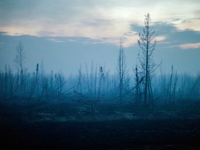 A charred swath of boreal forest, along Highway 63 near Fort McMurray.