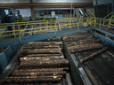 Raw lumber moves into the saw mill at the Resolute Forest Products facility