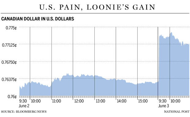 FP0603_Loonie