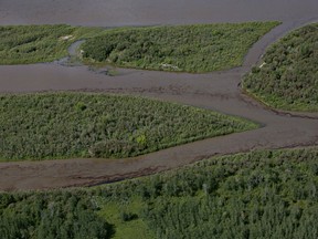 Oil is seen on the North Saskatchewan river near Maidstone, Sask on Friday July 22, 2016. Husky Energy has said between 200,000 and 250,000 litres of crude oil and other material leaked into the river on Thursday from its pipeline.