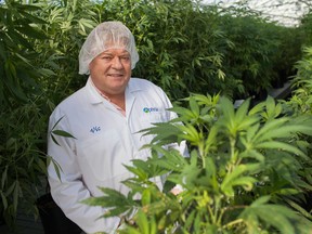 Aphria Inc. CEO Vic Neufeld says the changing rules to Canada's marijuana for medical purposes regulations mean keeping costs low is essential.