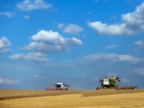 Leaving their homes in the U.K. would be a wrenching decision for many farmers, but they may have no other choice if they have to compete.