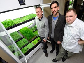 Co-founders of Urban Cultivator Davin MacGregor, left, Tarren Wolfe and Myles Omand, landed a deal with dragon Arlene Dickinson in 2011.