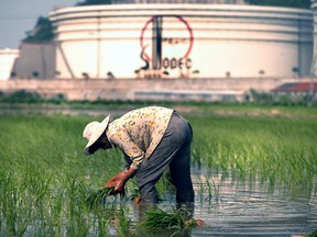 China outlined in 2009 its plans to build reserves equivalent to 100 days of net imports. But since then it's only provided sporadic scraps of detail on its strategic petroleum reserves, or SPR.