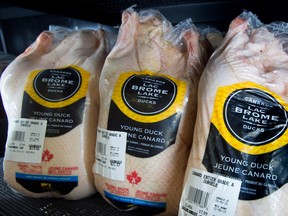 Canada's three largest duck producers expect overall annual production to double from the current level of 5.5 million ducks.