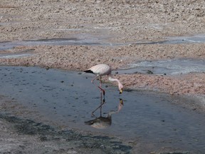 A lithium salar in the Atacama region of Chile.