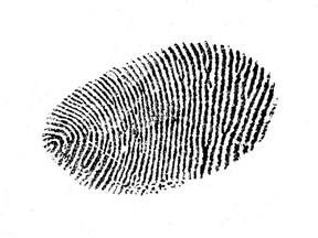 Fingerprintn/a