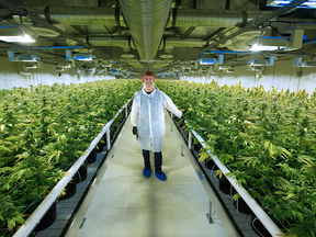 Cam Battley, Senior Vice President with Aurora Cannabis Inc., stands in one of the ten marijuana grow rooms inside the company's 55,000 square foot medical marijuana production facility near Cremona, Alta.