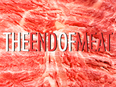 meat-feature