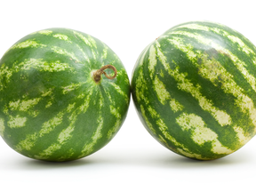 What can you learn from watermelons?