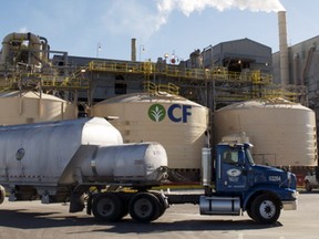 CF Industries Holdings Inc., the U.S. nitrogen-fertilizer maker that's grappling with slumping crop-chemical prices, had its credit rating cut to junk by S&P Global Ratings.