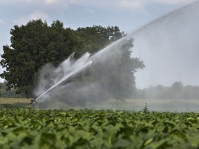 A water cannon irrigates a tobacco field on a farm west of Brantford, Ontario on Thursday August 11, 2016.