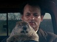 Bill Murray with his furry friend in the movie Groundhog Day.