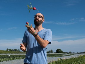 Alex Billingsley quit his job as a lawyer in 2007 to found Mama Earth Organic with his wife and while the company has had its challenges he hasn't looked back since.