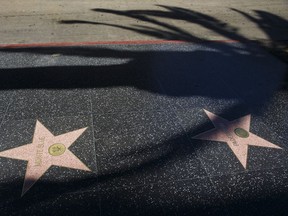 The shadow of a palm tree is cast over stars on the Hollywood Walk of Fame.