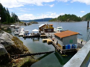 Home sales on Vancouver Island and in the interior of the province continue to post strong year-over-year gains, realtors say.