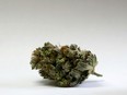California, Nevada, Massachusetts and Maine voted to legalize recreational marijuana last Tuesday and four more states voted in favour of medical marijuana use.