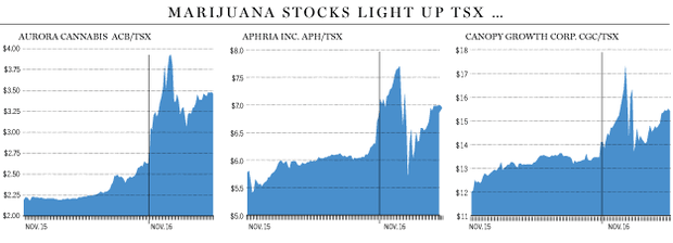 nov-16-pot-stocks