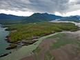 Under the original plan, Petronas had chose a highly contentious site for its proposed terminal near an ecologically sensitive islet called Flora Bank -- a breeding ground for salmon and considered sacred by local indigenous groups, who have joined with environmental activists to block the project.