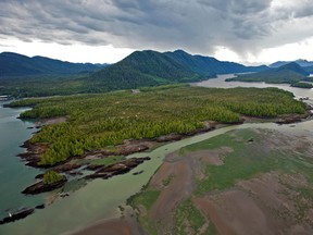 Under the original plan, Petronas had chose a highly contentious site for its proposed terminal near an ecologically sensitive islet called Flora Bank -- a breeding ground for salmon and considered sacred by local indigenous groups, who have joined with environmental activists to block the project.