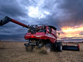Soybeans are harvested with a Case IH combine harvester.