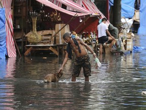 In this Thursday Dec. 29, 2016 photo, a man pets a dog along a flooded street caused by rains from Typhoon Nock-Ten in Quezon city, north of Manila, Philippines.