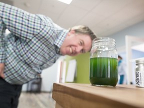 David Hunter ponders whether to have another glass of green goodness.