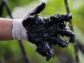 The court case against Chevron was over environmental damage in the Amazon rainforest.