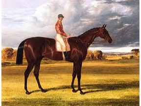 Epsom Derby winner, Amato (1835-1841) by John Frederick Herring Sr.